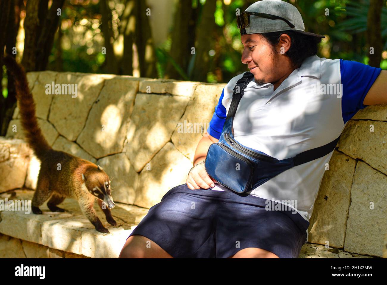 Boy with coati in Mexico close up shot Stock Photo