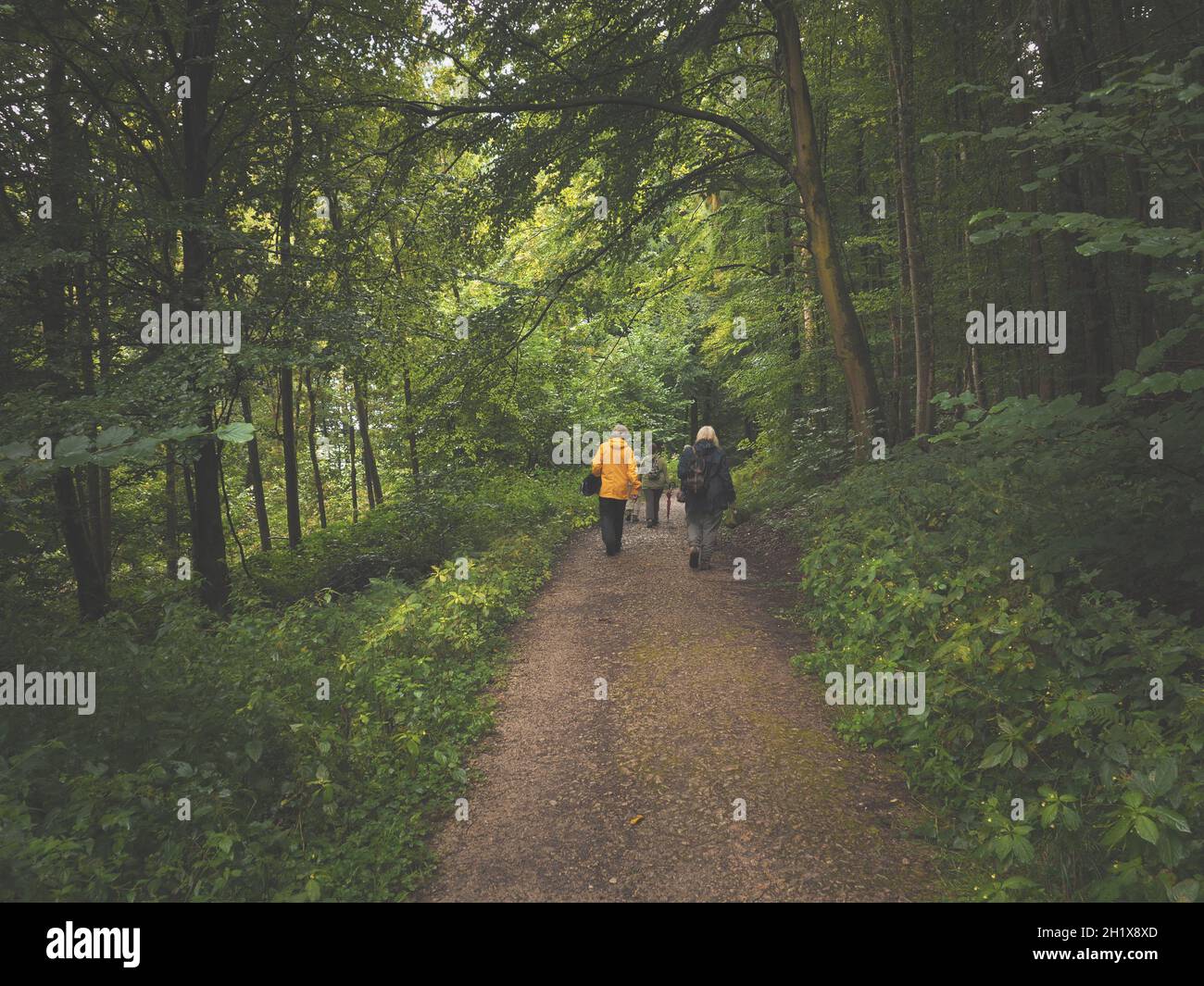 Rainy day outdoor hi-res stock photography and images - Alamy