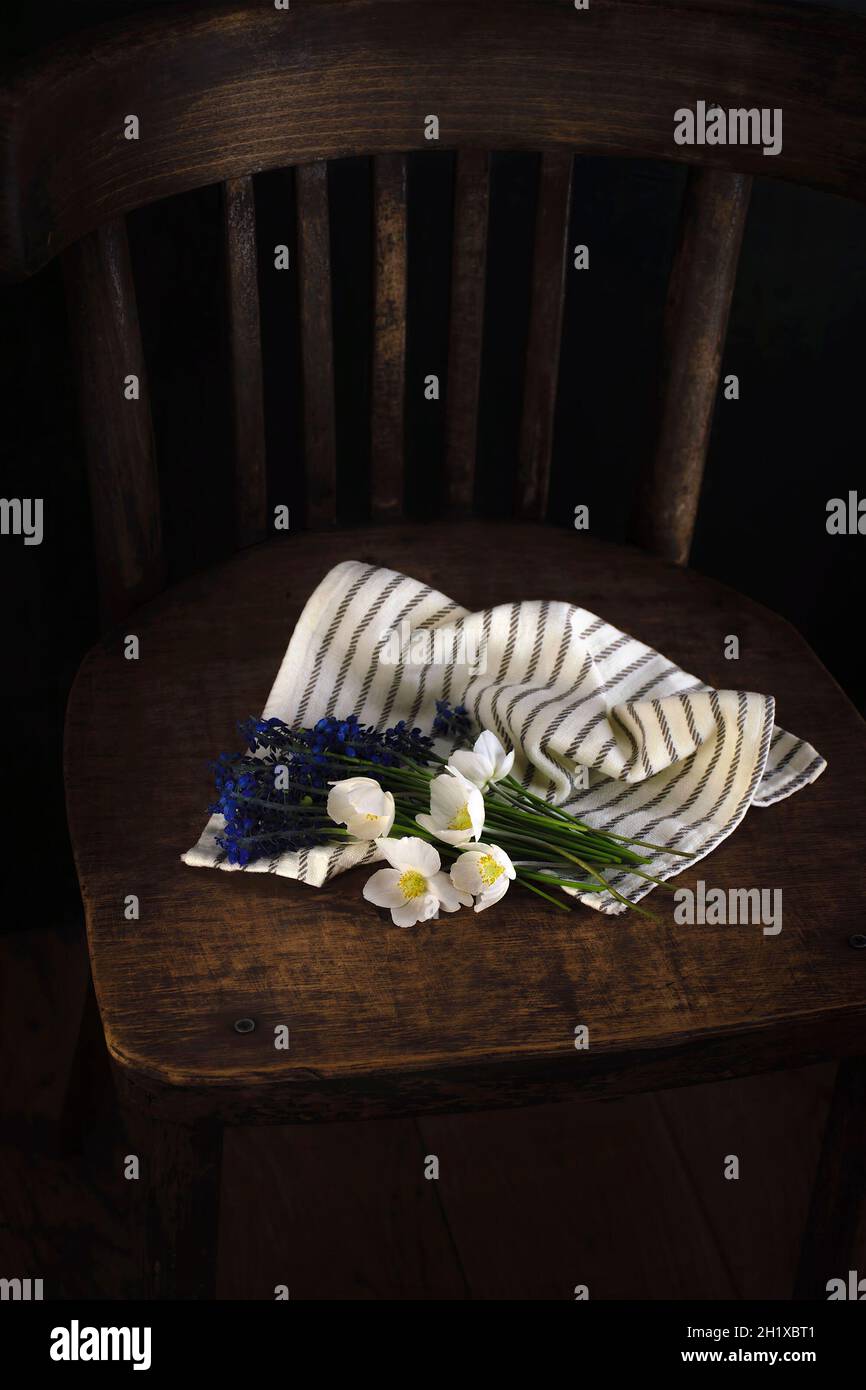 Bouquet of spring white and blue flowers wrapped in light striped fabric on a vintage wooden chair. Dark background. Top view. Romantic gift for print Stock Photo