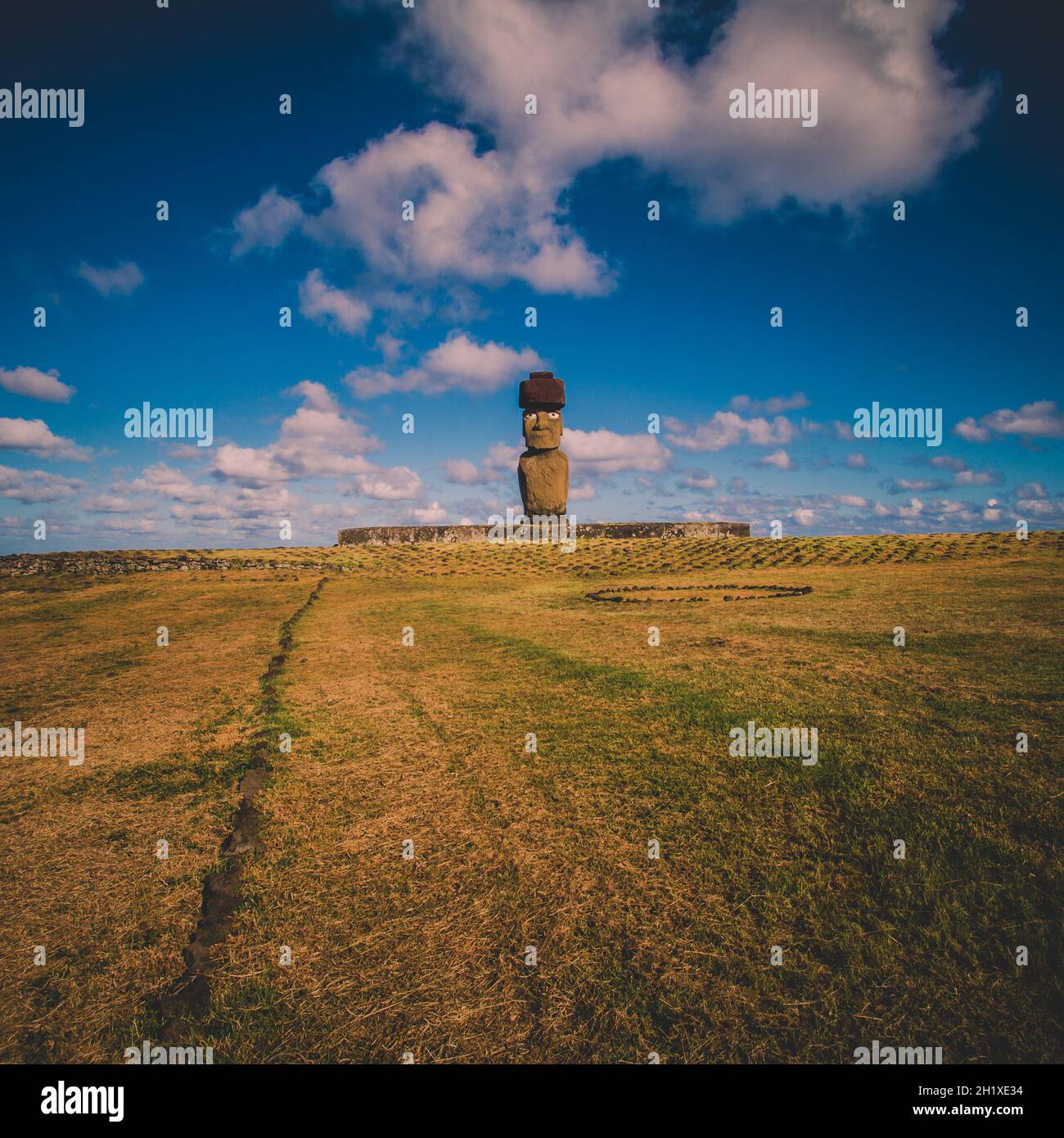 Moai stone sculptures on Easter island, Chile Stock Photo Alamy