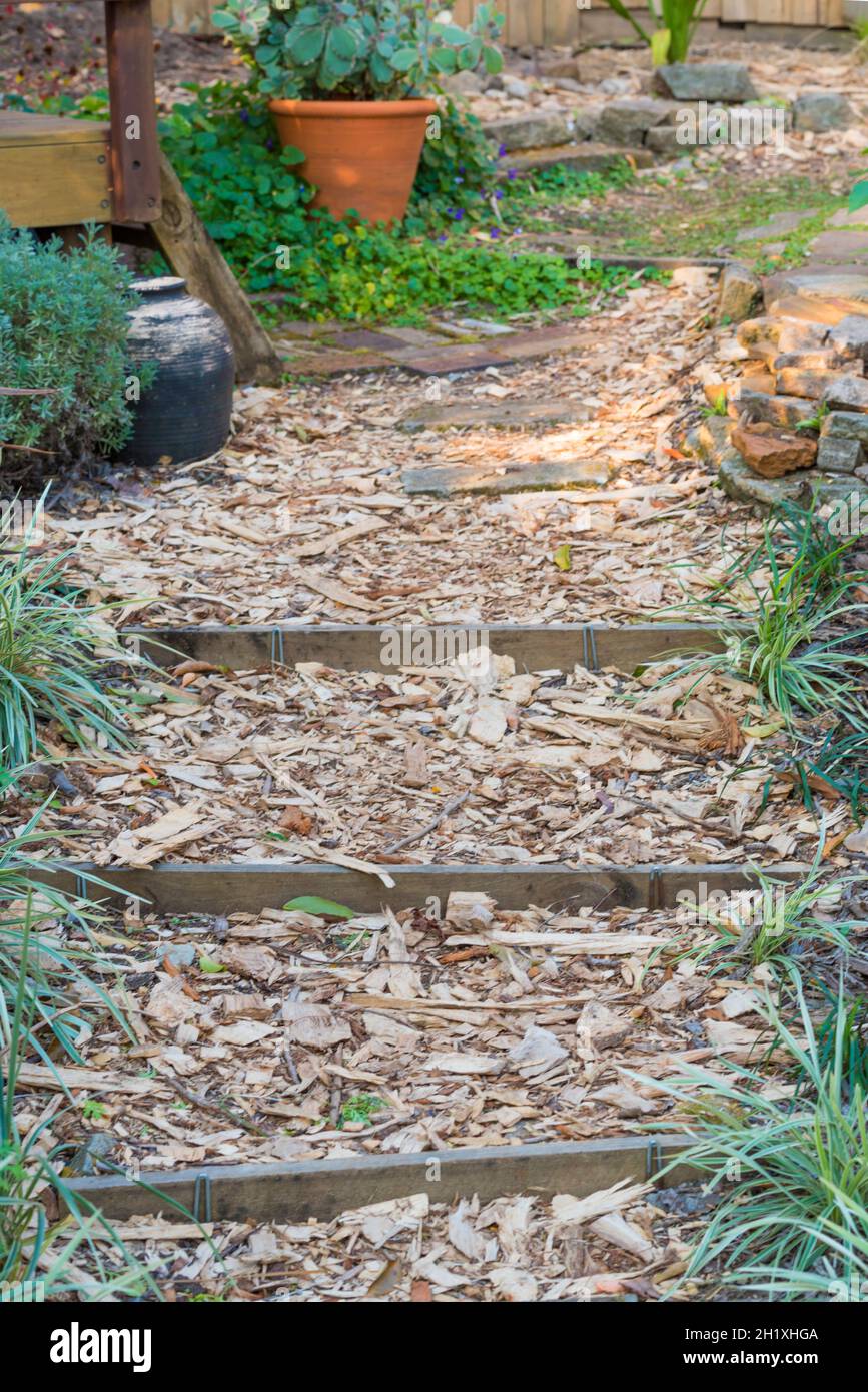 An Australian garden path with low timber retained steps covered in eucalyptus woodchip mulch Stock Photo