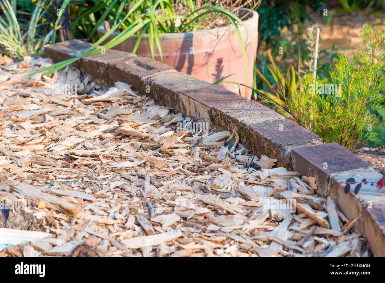 A brick edged Australian garden path covered in eucalyptus woodchip mulch Stock Photo