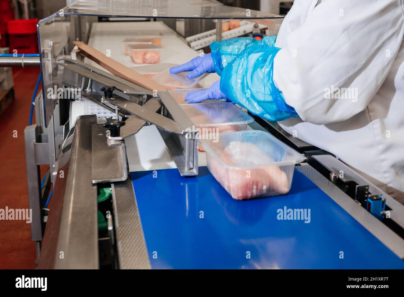 Automated production line with packaging and cutting of meat in modern