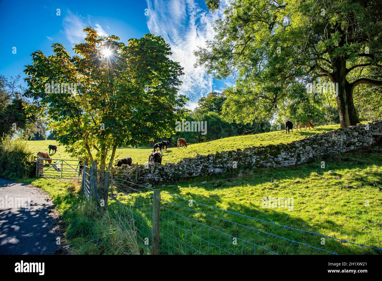 An early autumn landscape at Leighton, Silverdale, Carnforth, Lancashire, UK Stock Photo