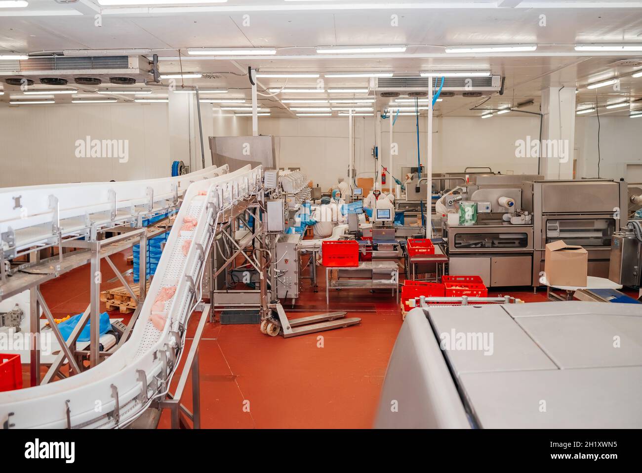 Chicken fillet production line . Factory for the production of food