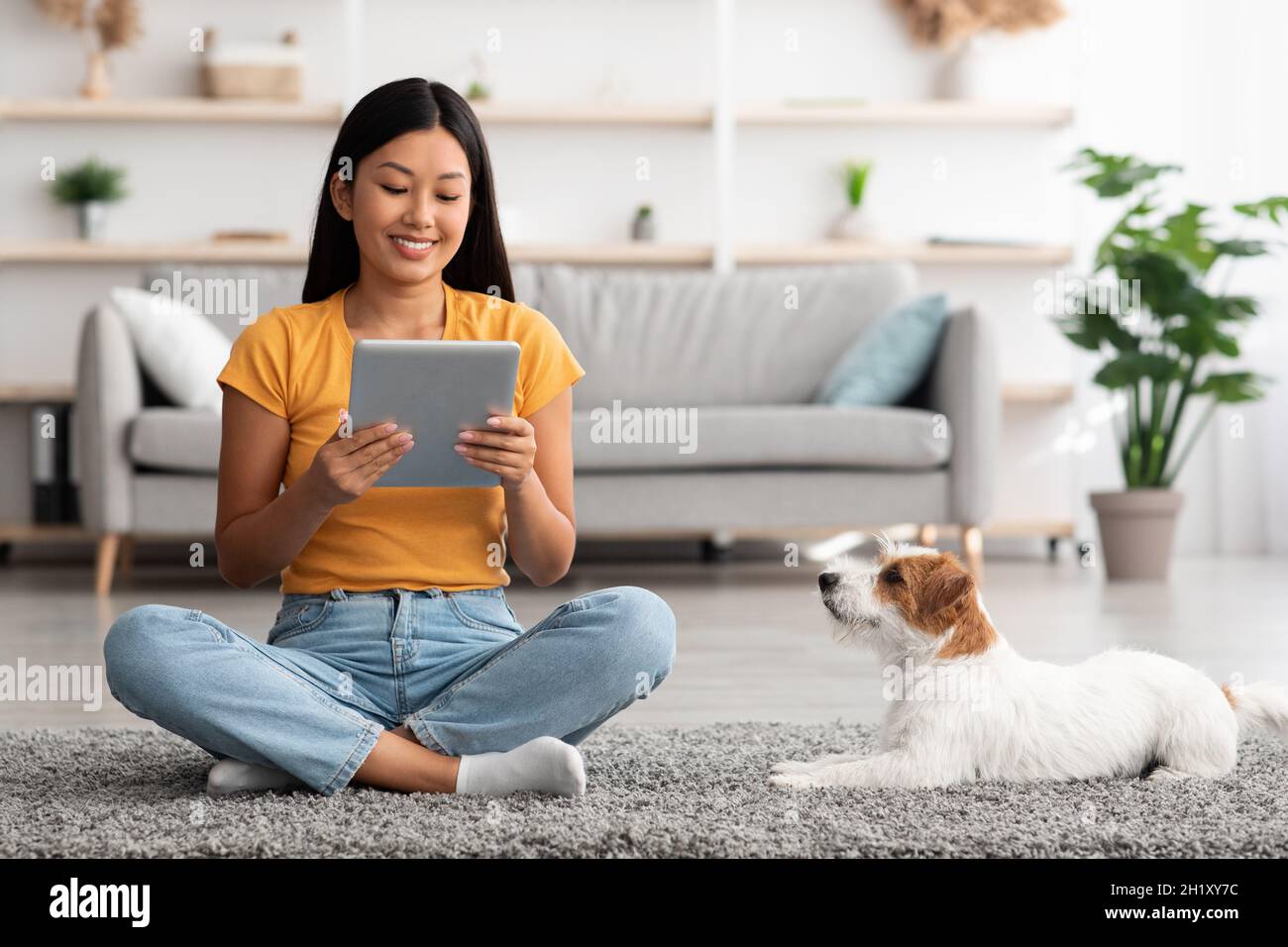 Smiling japanese lady checking photos of her puppy, using pad Stock Photo