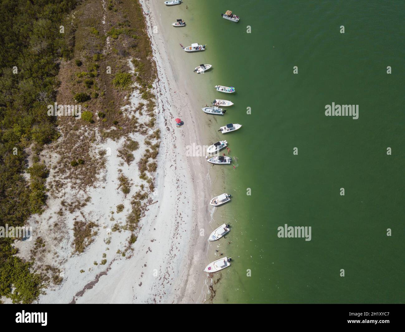 Aerial top shot palm trees hi-res stock photography and images - Alamy