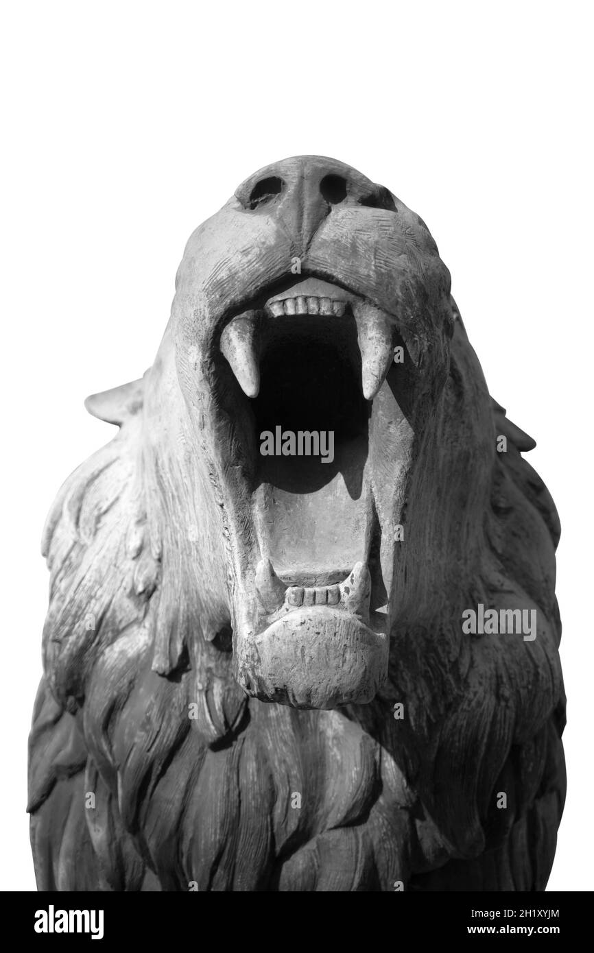 front view closeup of old weathered stone lion statue head with mouth and teeth wide open in raging roar isolated on white background in central squar Stock Photo