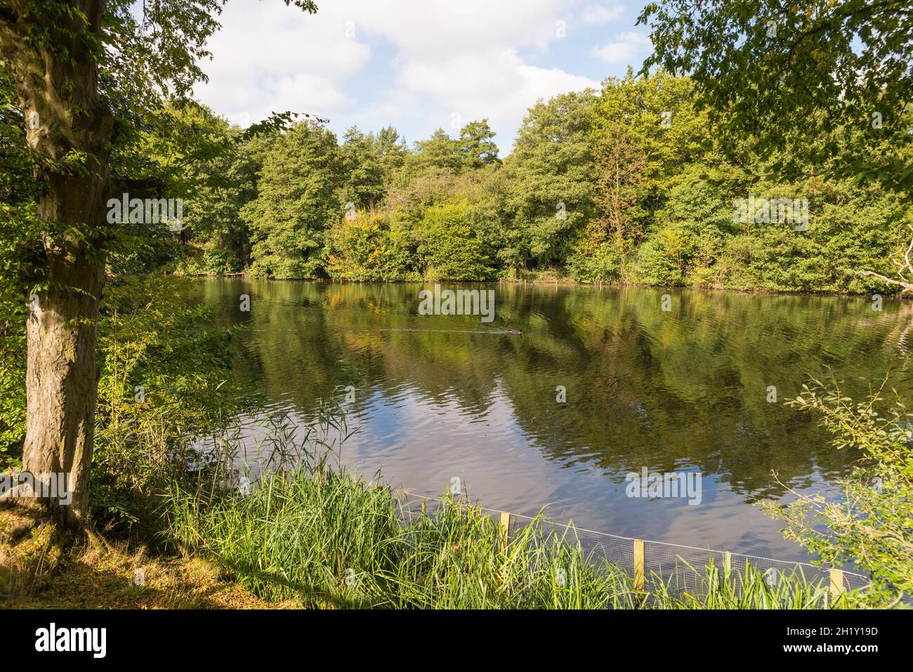 Breaches Pool at Leasowes Park in Halesowen, West Midlands which is