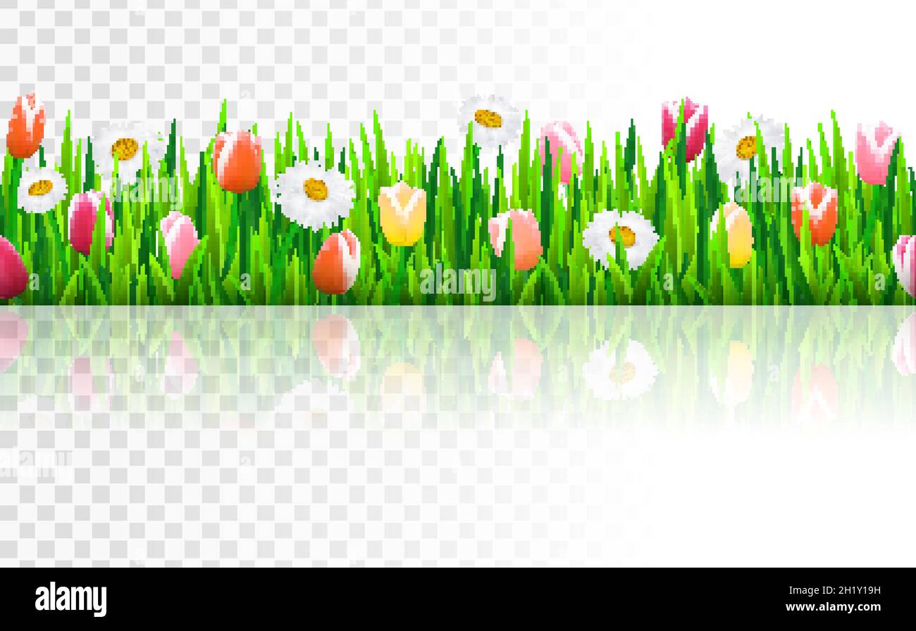 Seamless border with grass and flowers, vector illustration Stock ...