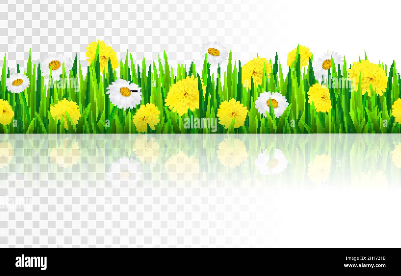 Seamless border with grass and flowers, vector illustration Stock ...
