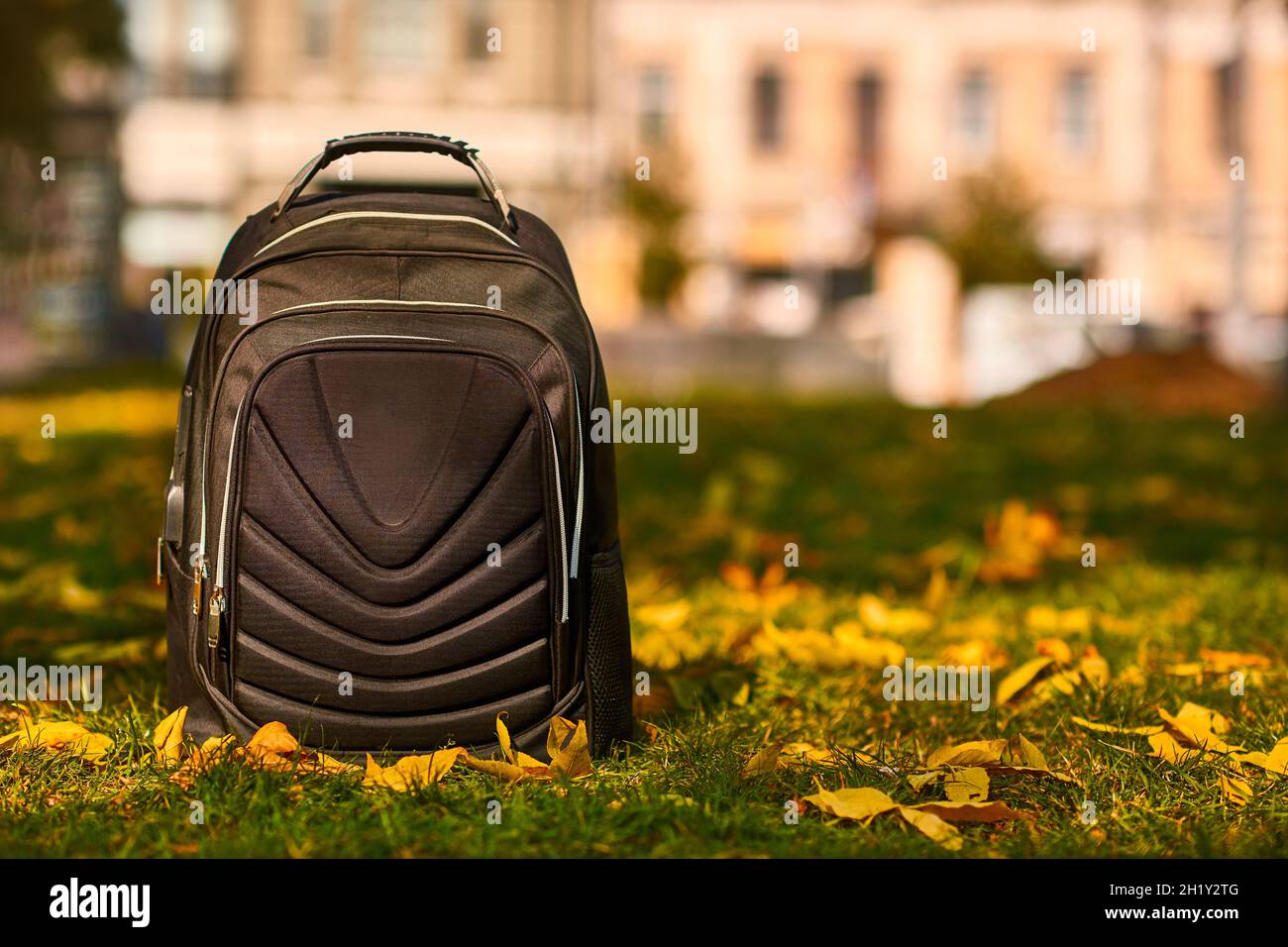 tourist or school black backpack stands on green grass with fallen yellow leaves Stock Photo