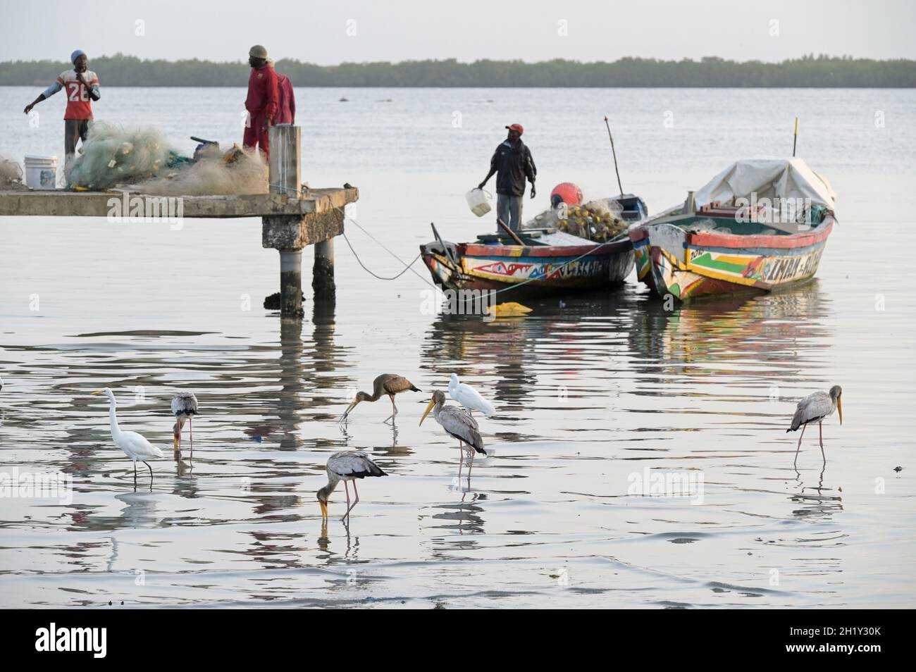 Fishermen pulling beach seine early morning Vilankulo Mozambique