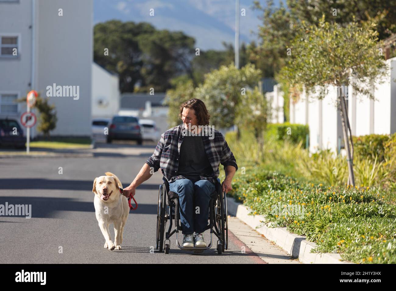 Caucasian disabled man with dog sitting on wheelchair on the road Stock Photo