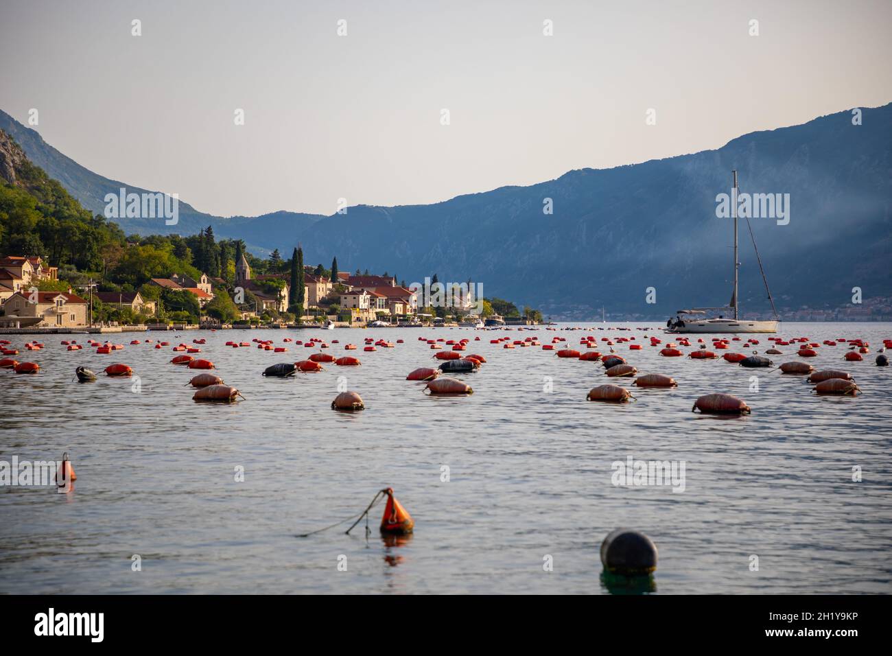 Oyster farm in the Bay of Kotor, Montenegro Stock Photo Alamy