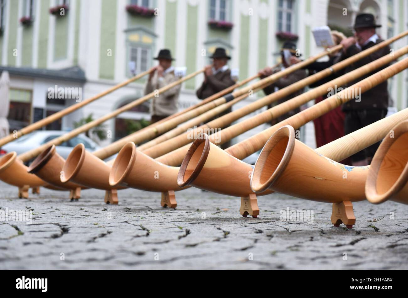vereist regiment mengsel Das "Alphorn" ist ein mehrere Meter langes hölzernes Musikinstrument - The  "alphorn" is a wooden musical instrument several meters long Stock Photo -  Alamy