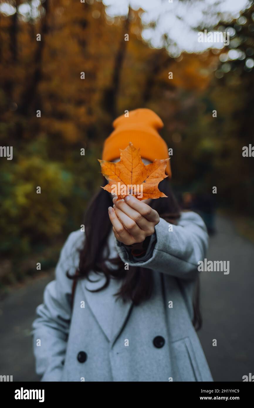 Young woman is holding a maple leaf in front of her face by covering it. No face photography Stock Photo