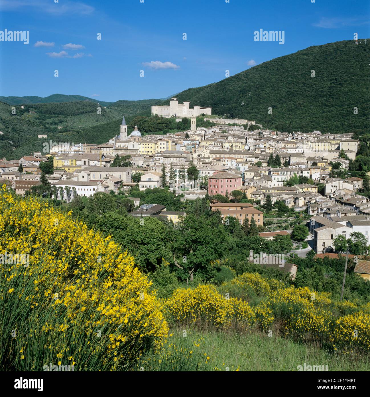 View over city of Spoleto in spring, Spoleto, Perugia Province, Umbria, Italy, Europe Stock Photo
