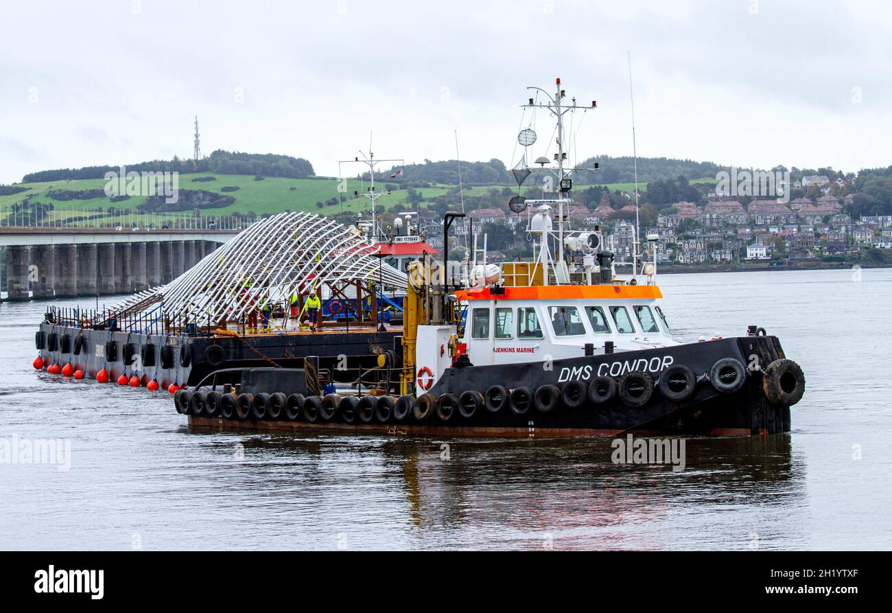 Dundee, Tayside, Scotland, UK. 19th Oct, 2021. UK News: The Giant £1m humpback whale sculpture designed by Lee Simmons has finally arrived in Dundee for the last part of the journey to be installed beside the V&A Design Museum. The 36-metre, 22-tonne whale is being transported by two tug boats along the River Tay to be lifted by a large crane to its final resting point outside the Victoria & Albert Museum along Dundee waterfront. Credit: Dundee Photographics/Alamy Live News Stock Photo