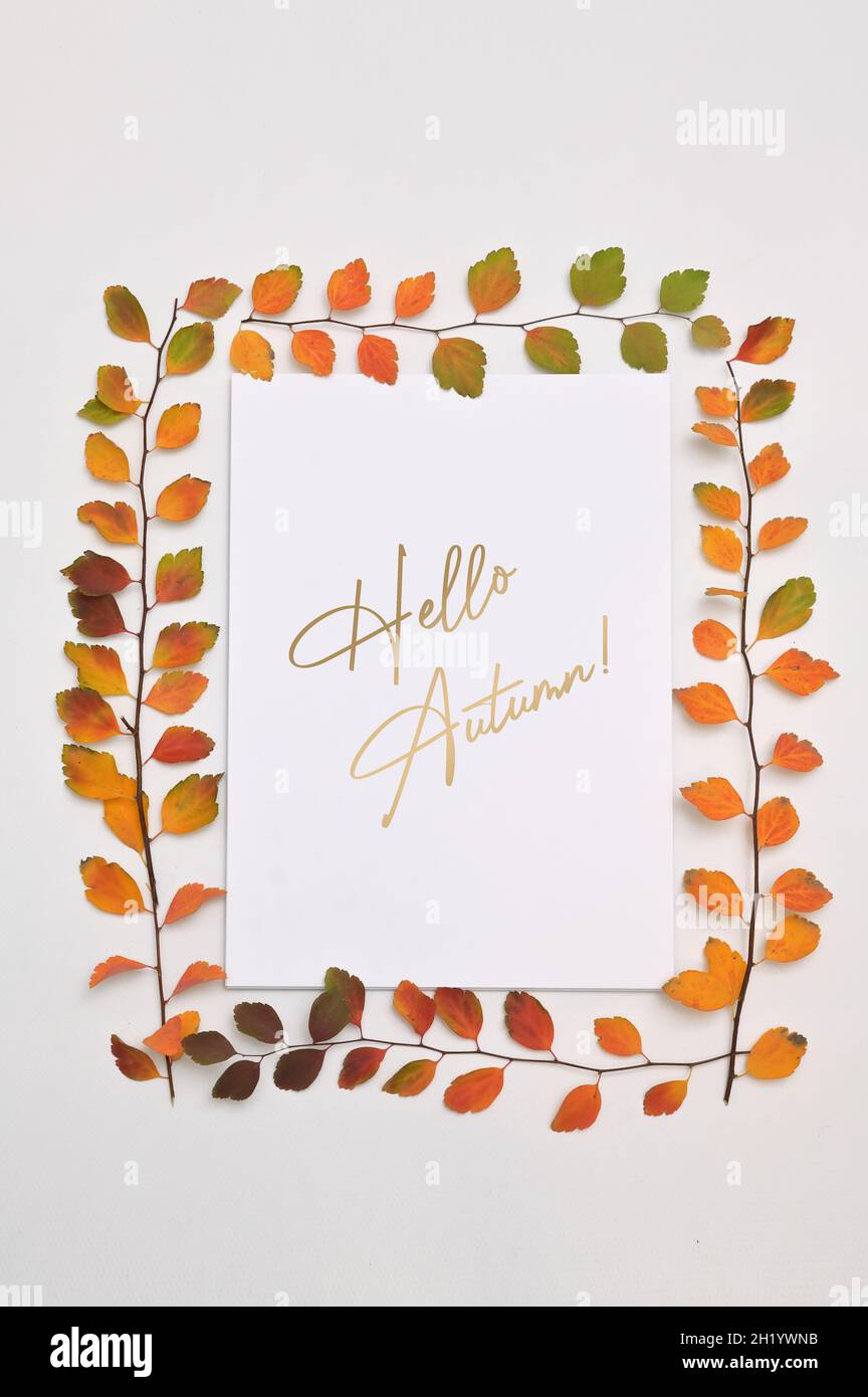 Autumn leaves Frame on white background and text Stock Photo - Alamy