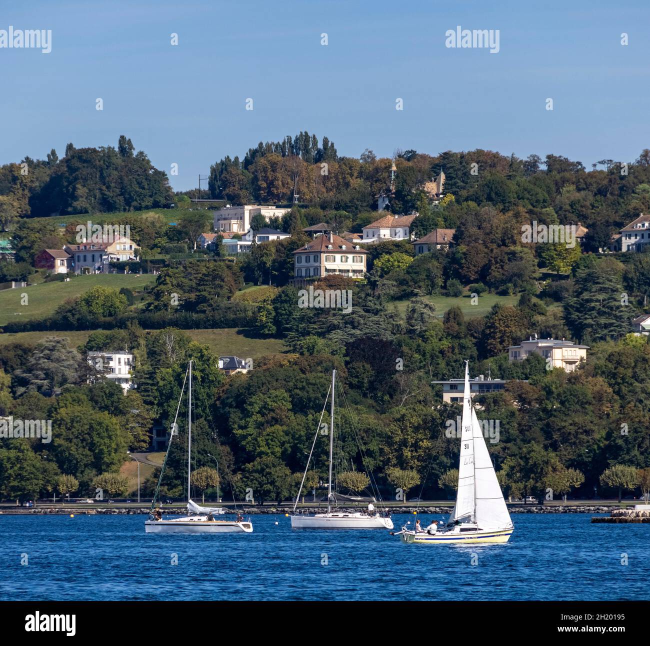 yachts on Lac Leman (Lake Geneva), Geneva, Switzerland Stock Photo Alamy