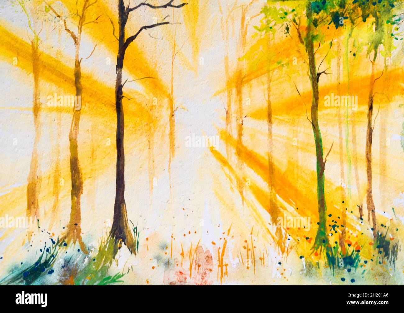 Beautiful watercolor painting of a bright forest with sunbeams through ...