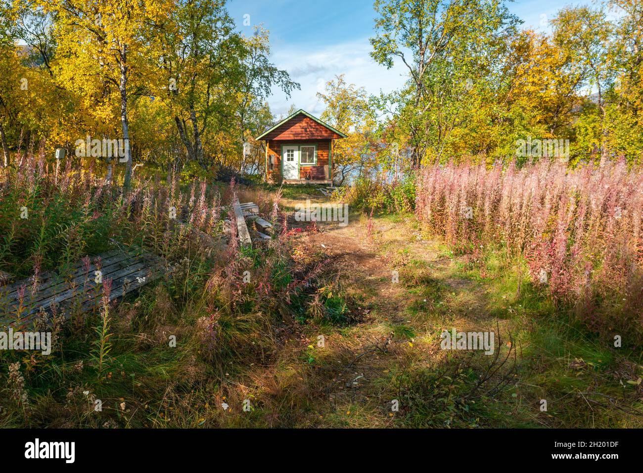 Typical small red wooden cabin in a forest in Saltoluokta, Sweden. Beautiful sunny day of autumn in remote Swedish arctic. Vivid autum colors. Stock Photo