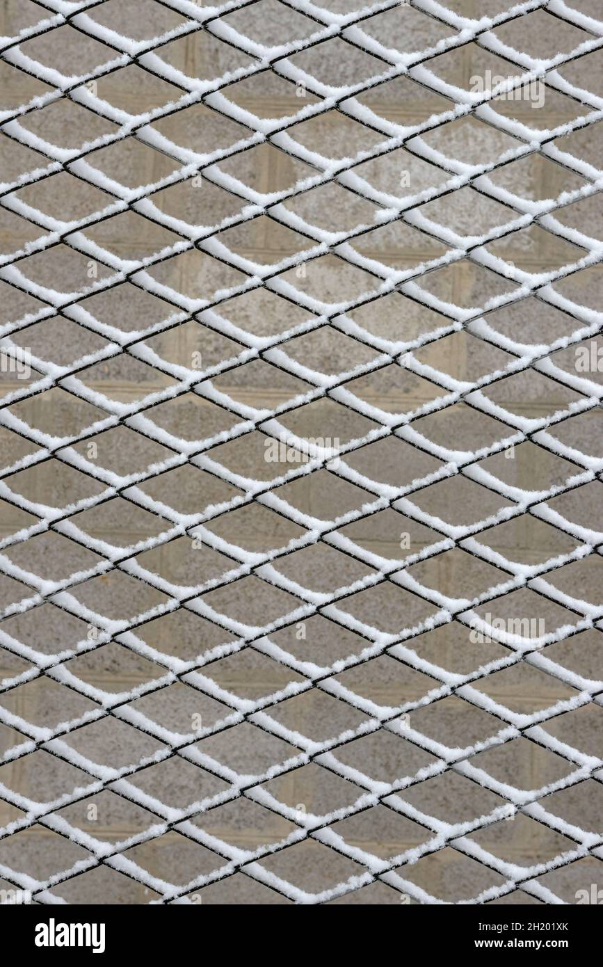 Close-up pattern of many cells of chain-link fence that are covered with white fresh snow in light of cloudy winter morning. Stock Photo