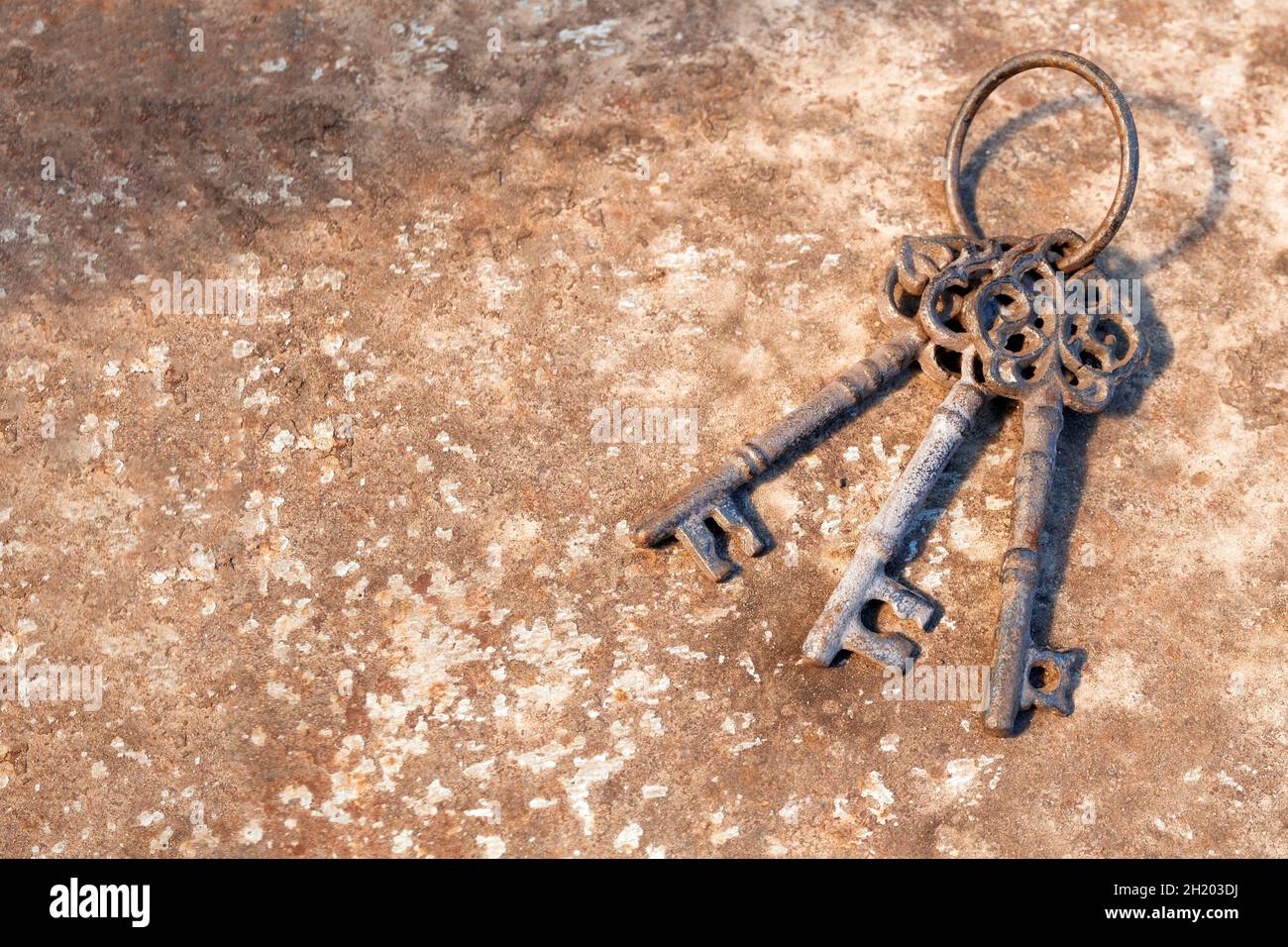 Old rusty key on grunge background. Vintage door keys. Antique keys on weathered rusty background. Aged iron key with copy space. Stock Photo