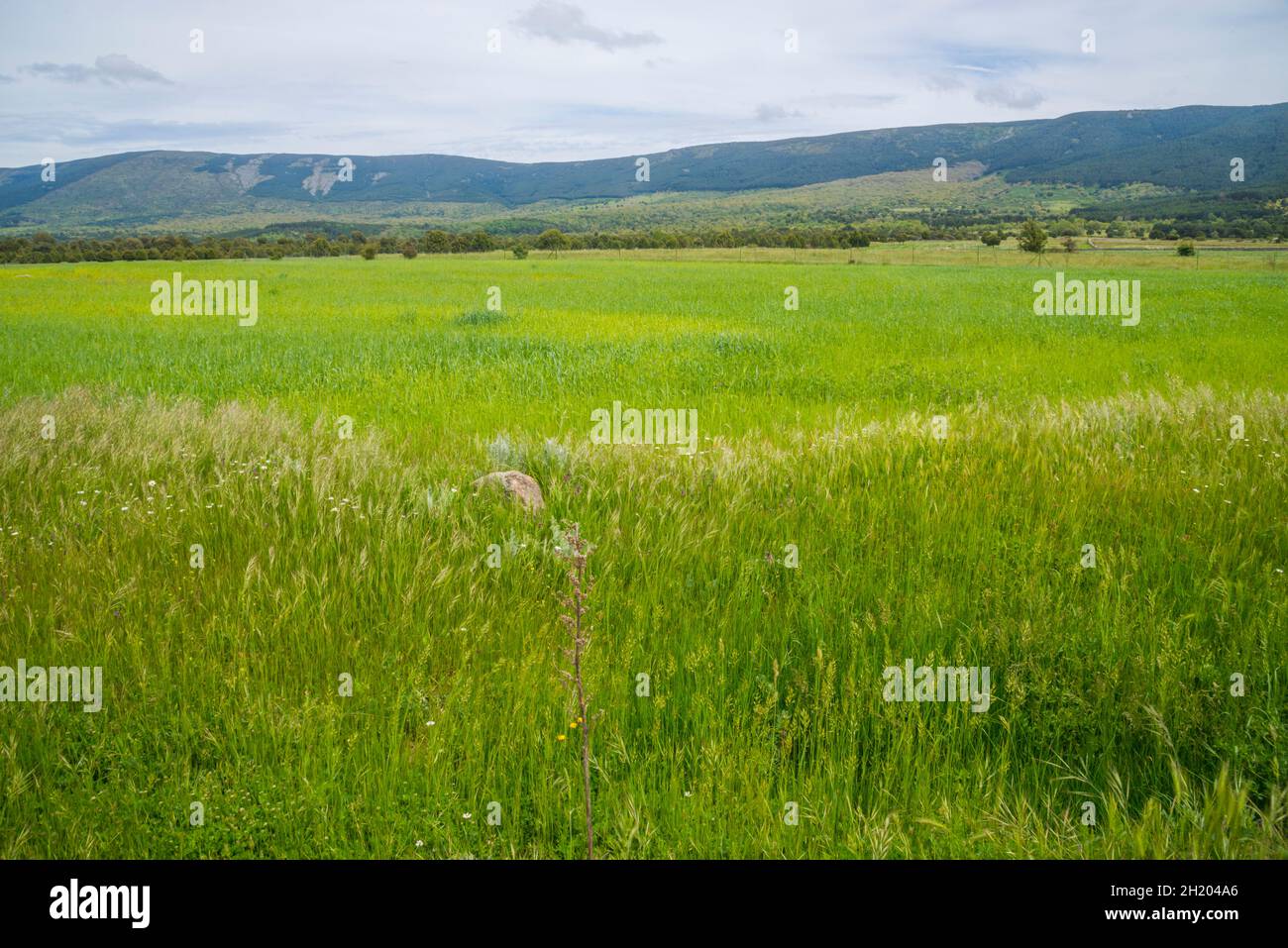 Landscape. Sierra Norte de Guadarrama Nature Reserve, Segovia province, Castilla Leon, Spain. Stock Photo