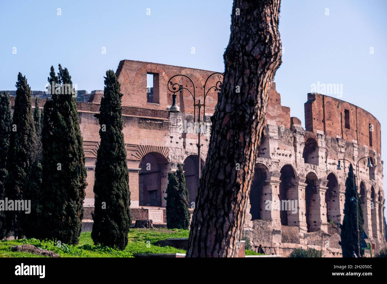 Roman Colosseum in Italy. Stock Photo