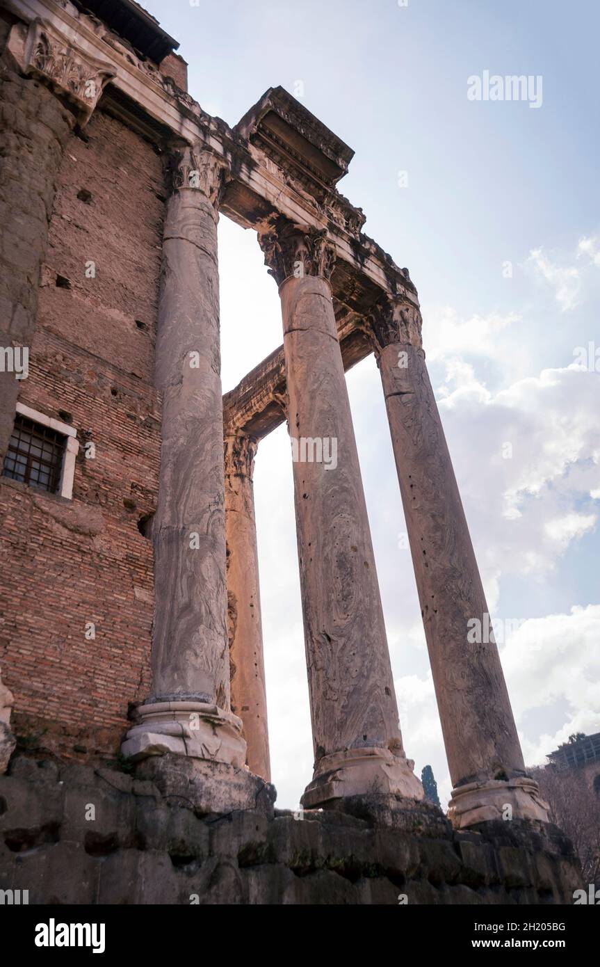 Corinthian columns of Temple of Antoninus and Faustina at the Roman ...