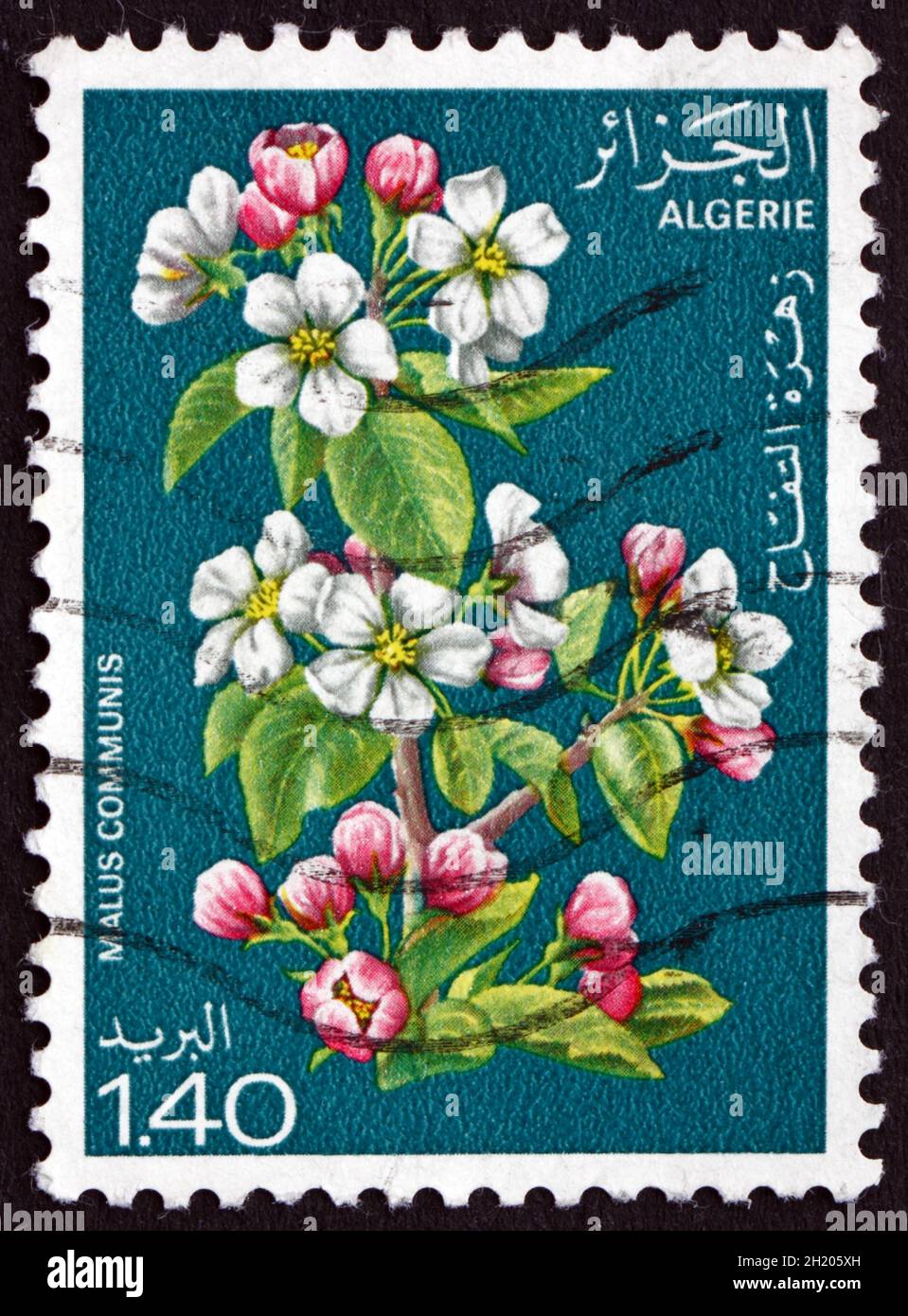 Algerian postage stamp hi-res stock photography and images - Alamy