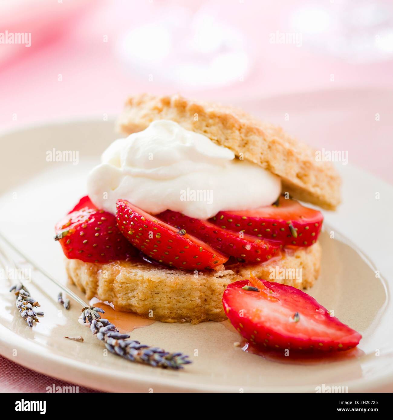Strawberry shortcake with lavender and cream (USA) Stock Photo