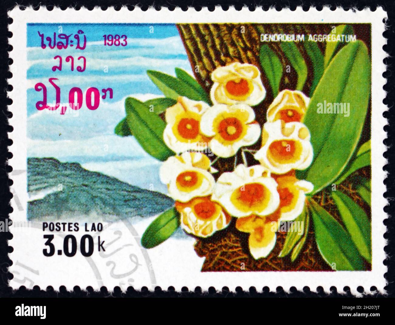 LAOS - CIRCA 1983: a stamp printed in Laos shows dendrobium aggregatum, orchid, circa 1983 Stock Photo