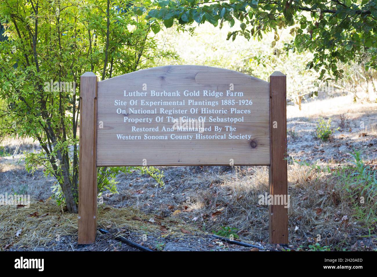 A sign at the entrance to Luther Burbank's Experimental Farm in Sebastopol, California. Stock Photo