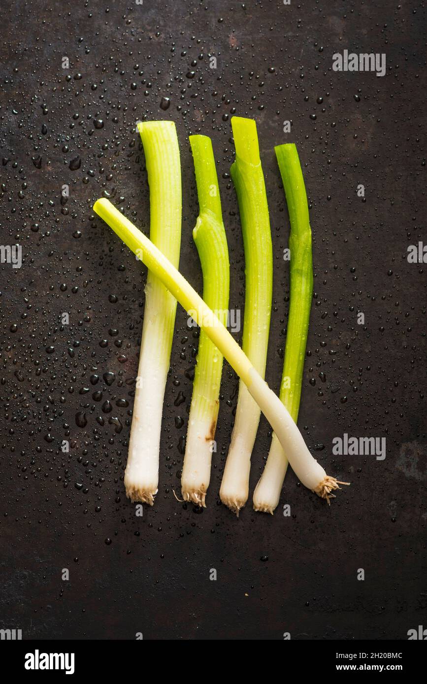 Five spring onions Stock Photo Alamy