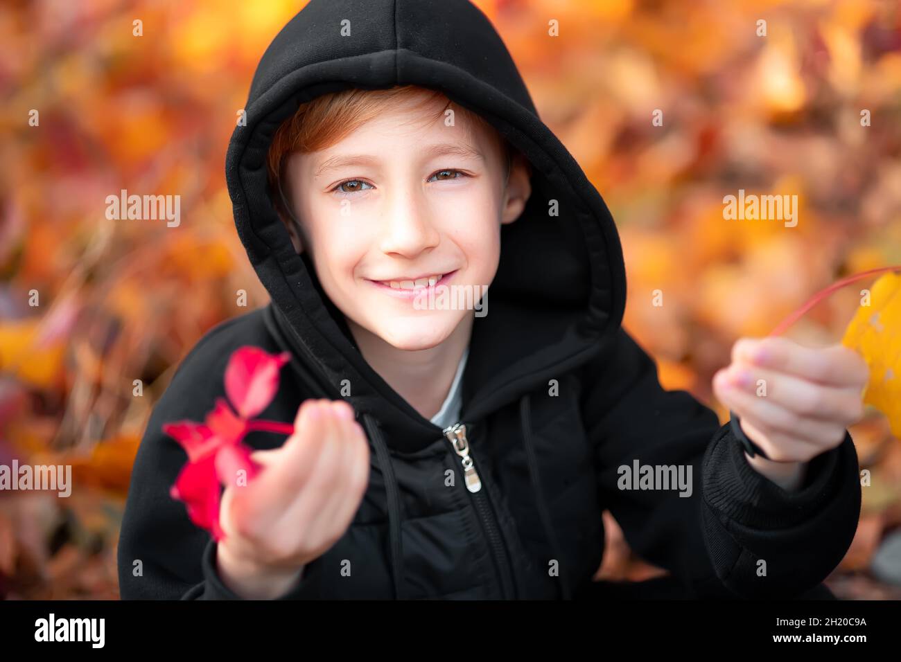 portrait of a boy who is in the autumn park against the background of ...