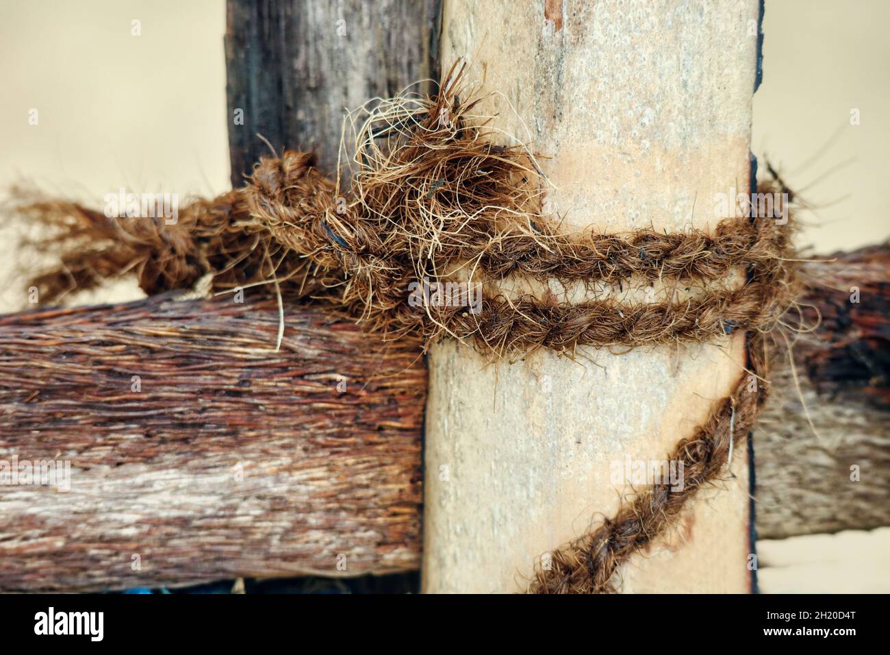 The bat tied with rope Stock Photo Alamy