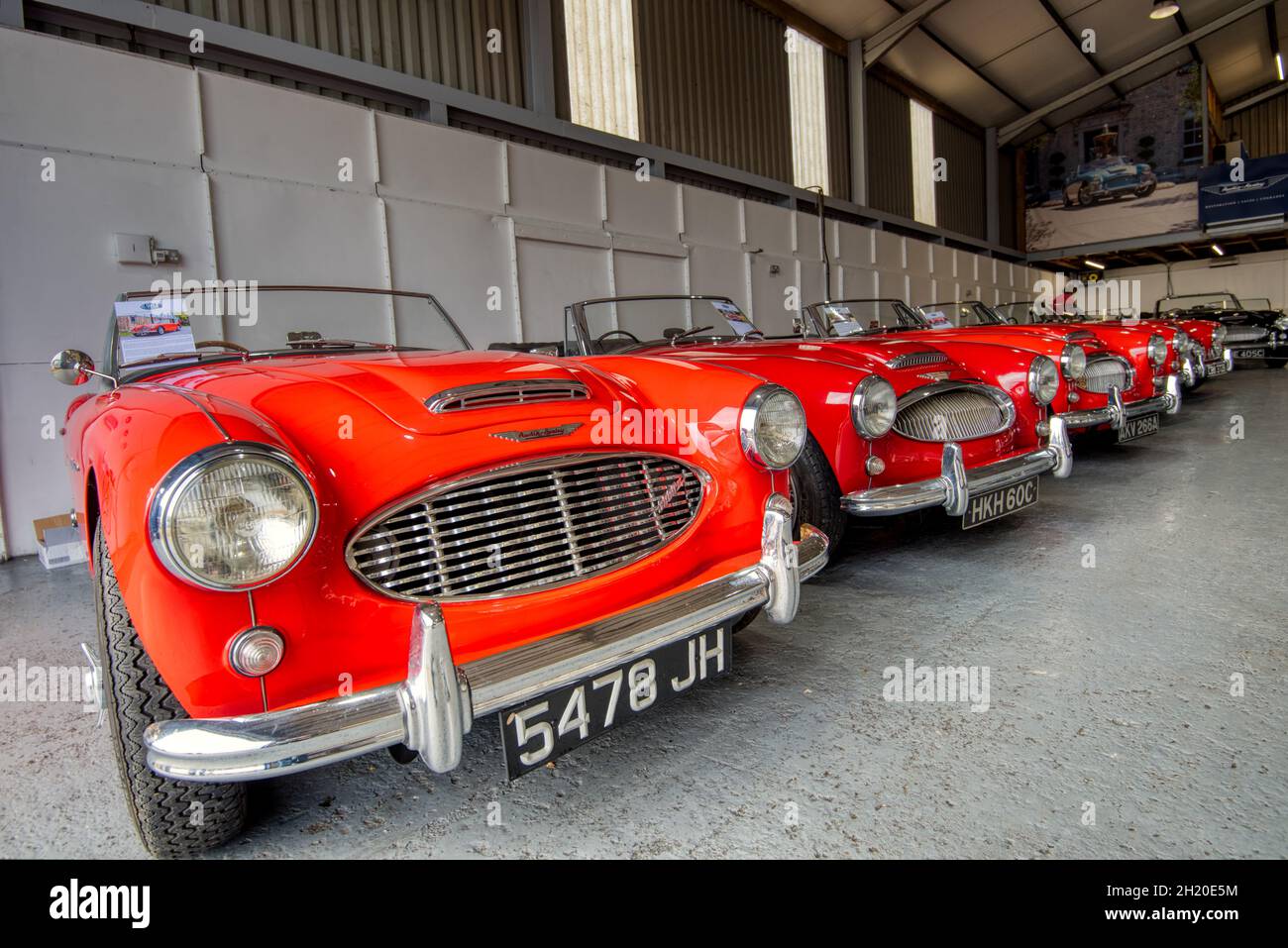 Red Austin Healey 3000 models in the showroom at Rawles Motorsport, Upper Froyle, Hampshire, UK Stock Photo