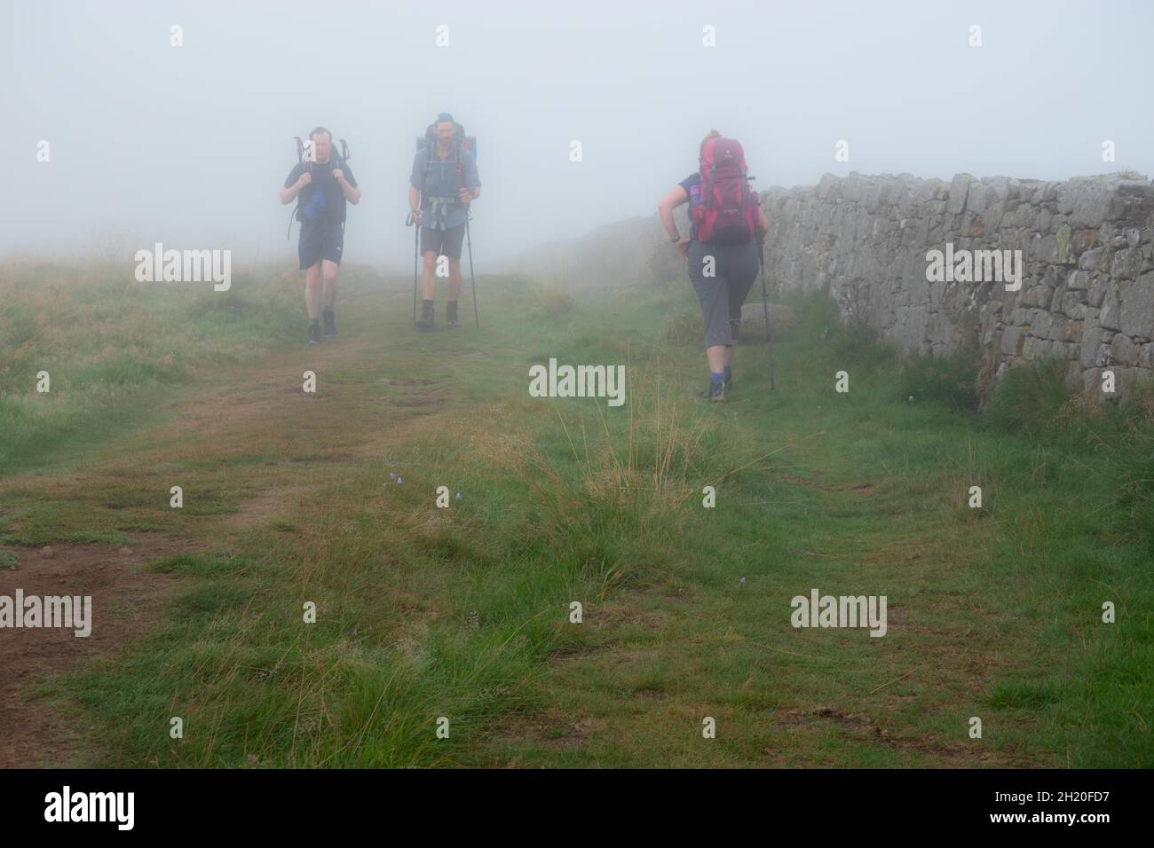 Hikers in mist on Hadrians Wall in Northumberland National Park England. The Hadrian’s Wall Path is an 84 mile Stock Photo