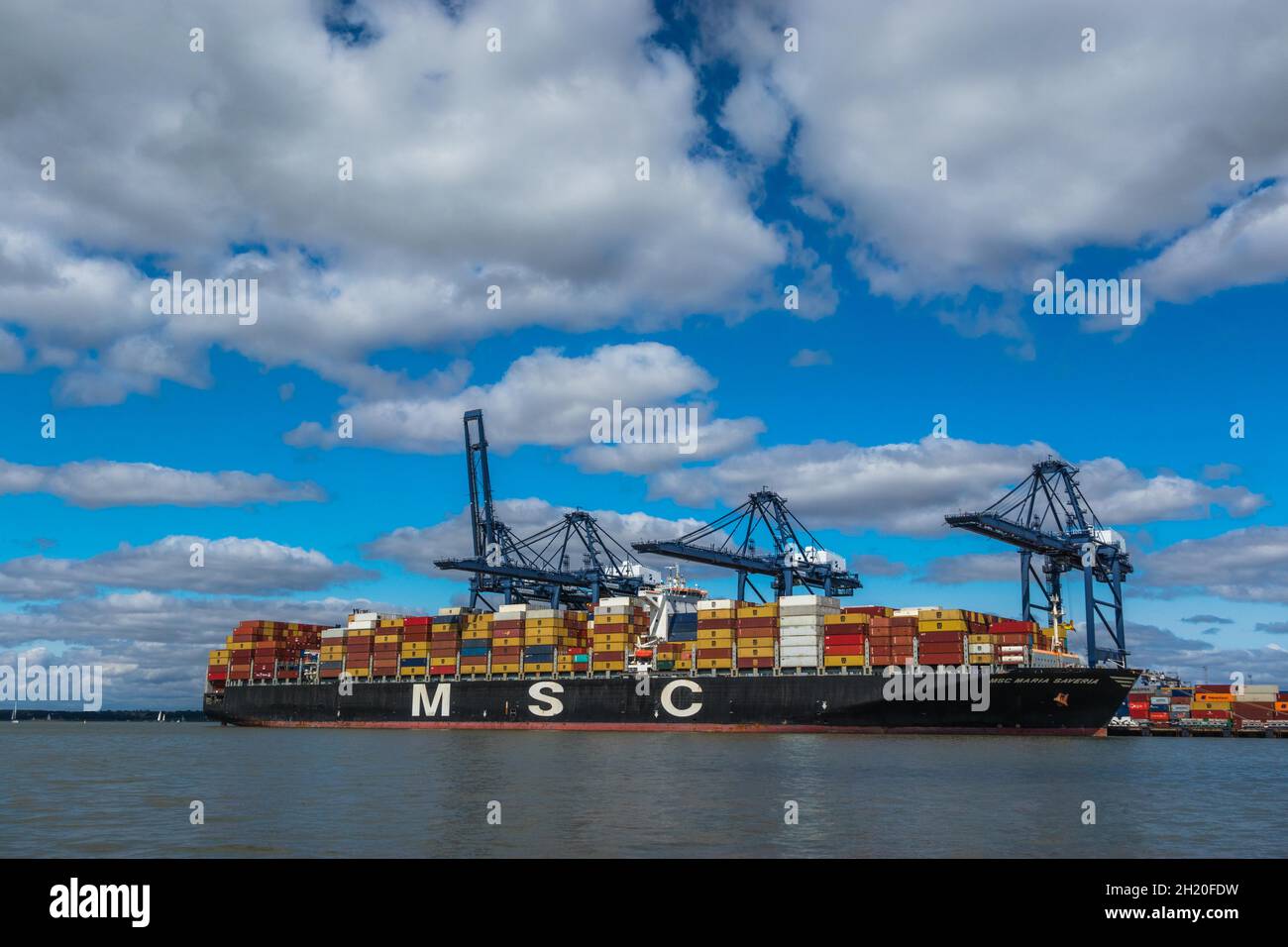 MSC container ship Maria Saveria along side Trinity Terminal a container handling facility with Ship-to-Shore cranes at Felixstowe Docks in Suffolk UK Stock Photo