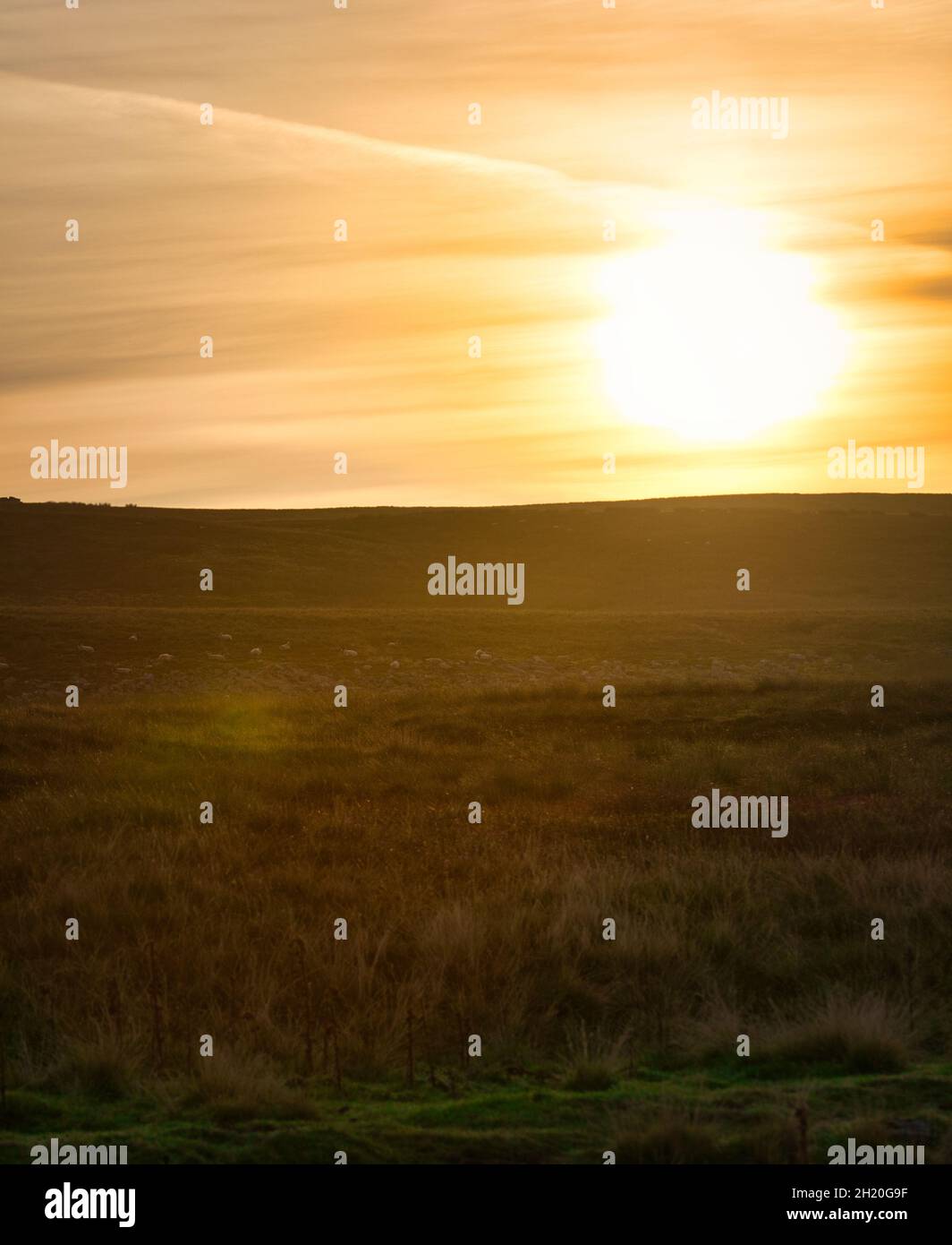 Sunrise dawn early morning over isolated remote moorland in the Yorkshire Dales National Park, Richmondshire, North Yorkshire, England Stock Photo