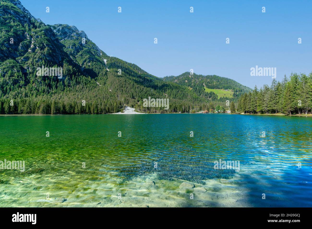 The green waters of mountain Lake Dobbiaco in the italian dolomite alps Stock Photo