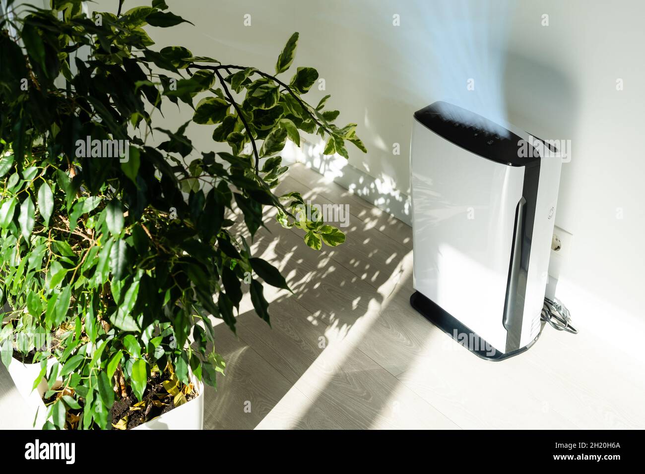 Ionizer stands on a white background. Air purifier at work, taking care