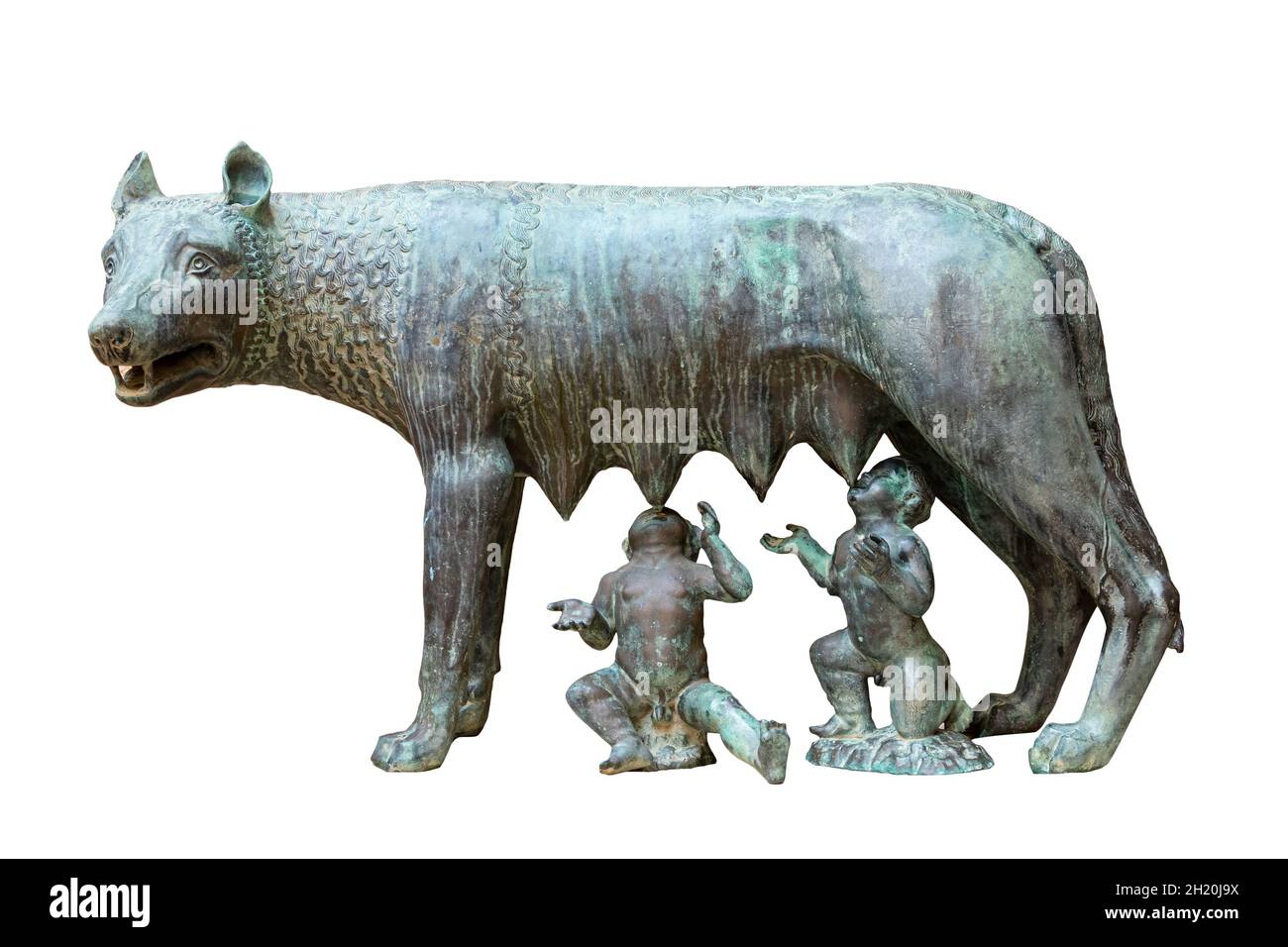 Luperca is the name of the she-wolf who, according to Roman mythology, suckled Romulus and Remus, founders of Rome, when King Amulius ordered them to Stock Photo