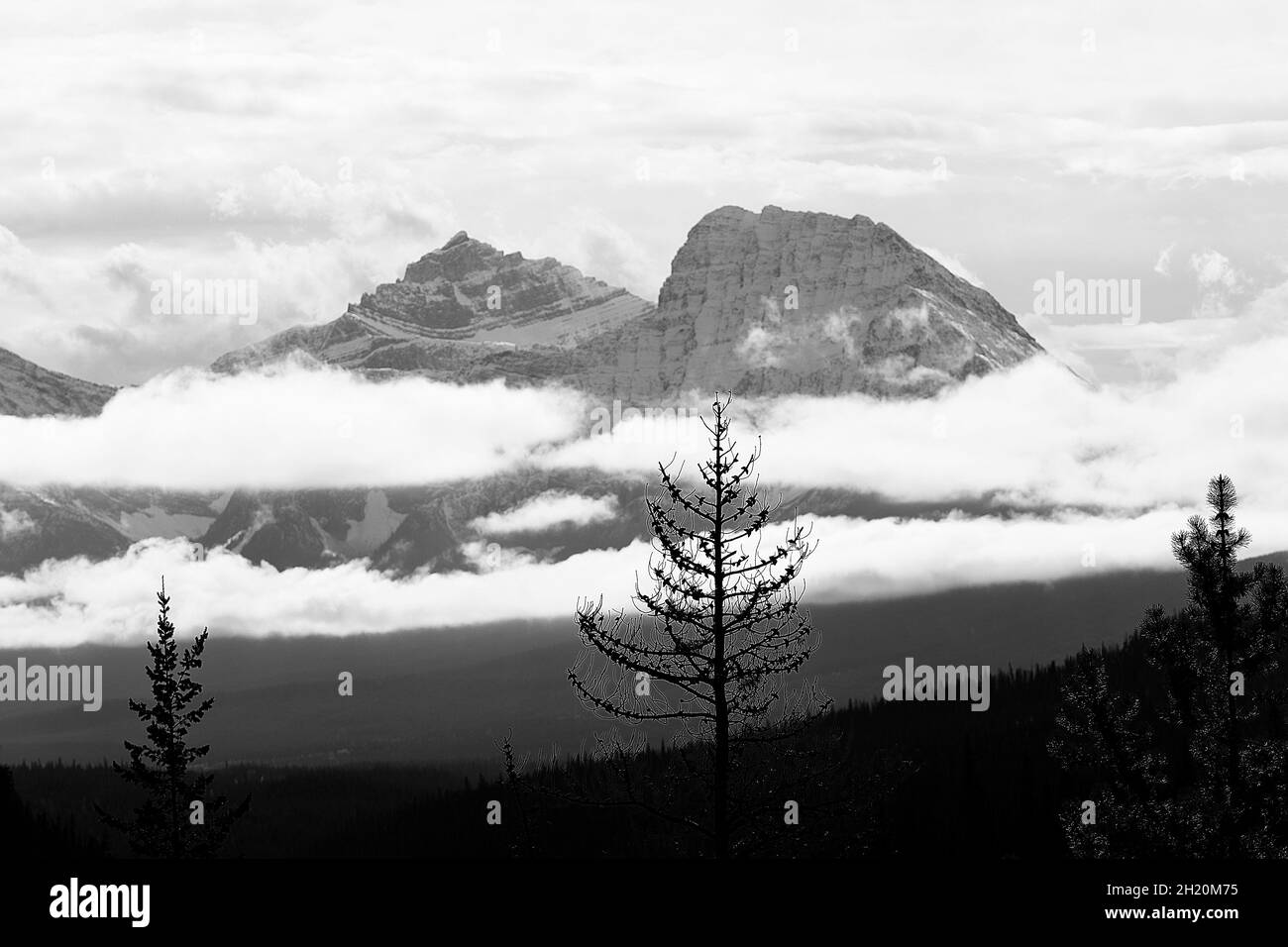 Canadian Rockies in black and white II, Canada Stock Photo - Alamy