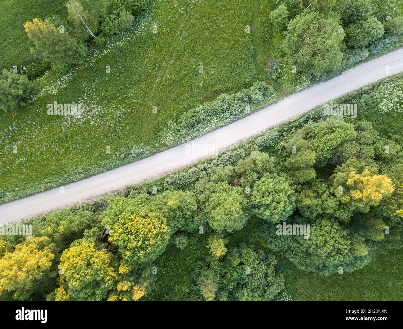 Contryside Rouds countryside roads in autumn colors with sunset light. drone image above ...
