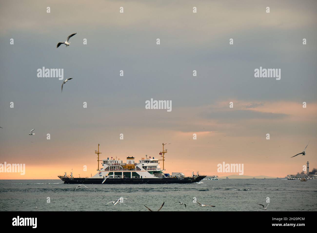 Internal transportation ships and ferry  on the golden horn with many seagulls after sunset and overcast sky background in bosphorus in Istanbul. Stock Photo
