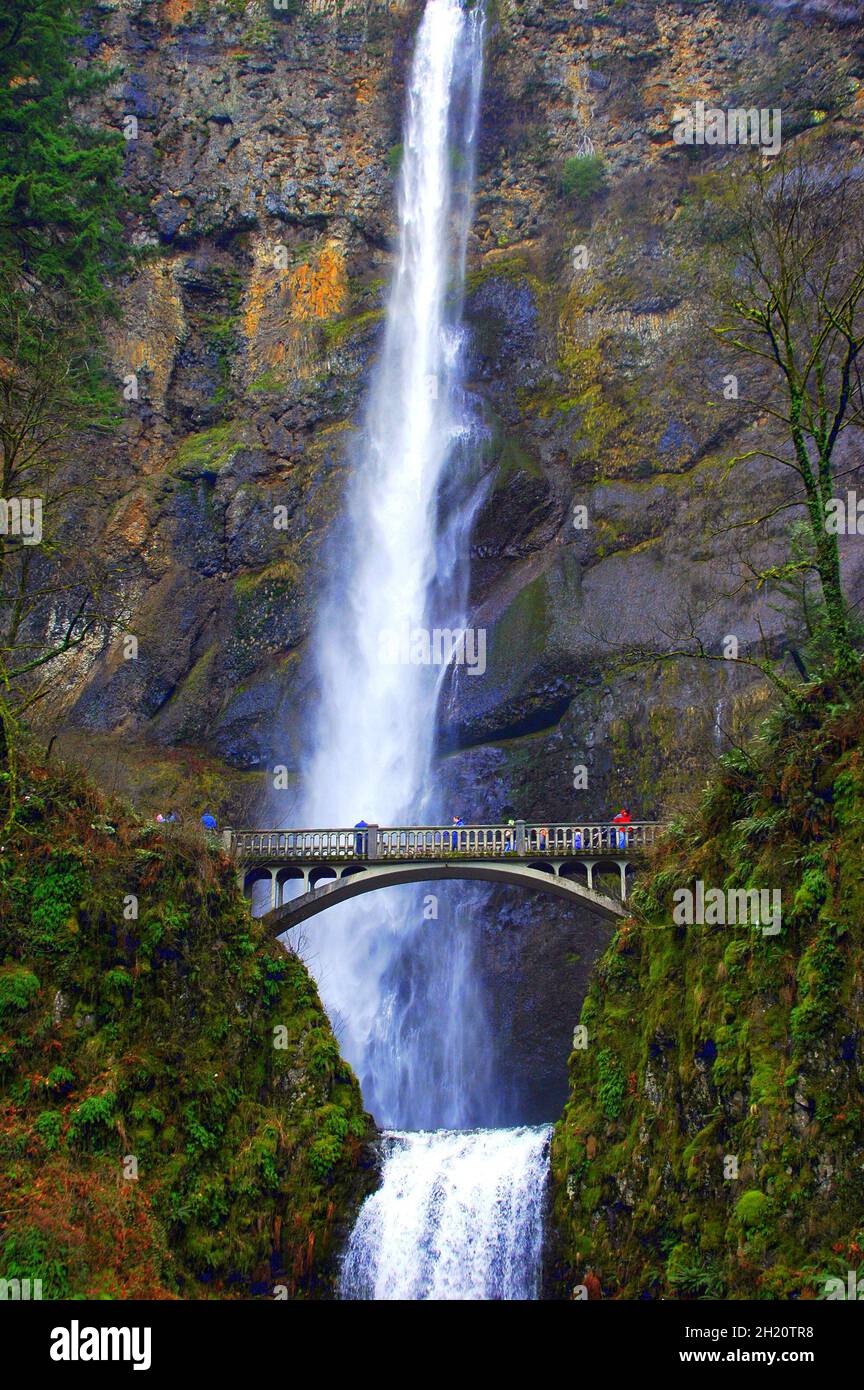 Bridge near the waterfall Stock Photo